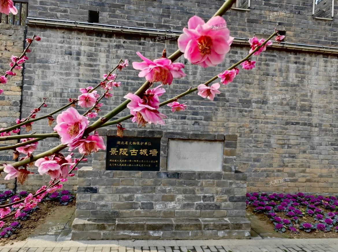 竟陵古城 明城墙遗址