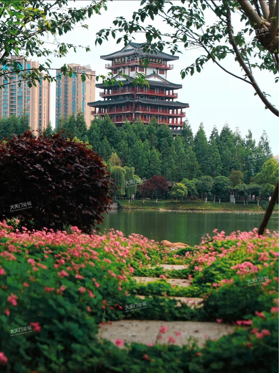 茶圣故里园的一条花径