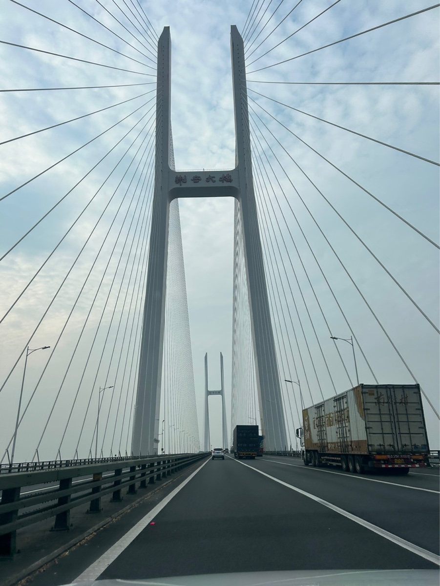 回湖北的路上，经过荆岳大桥